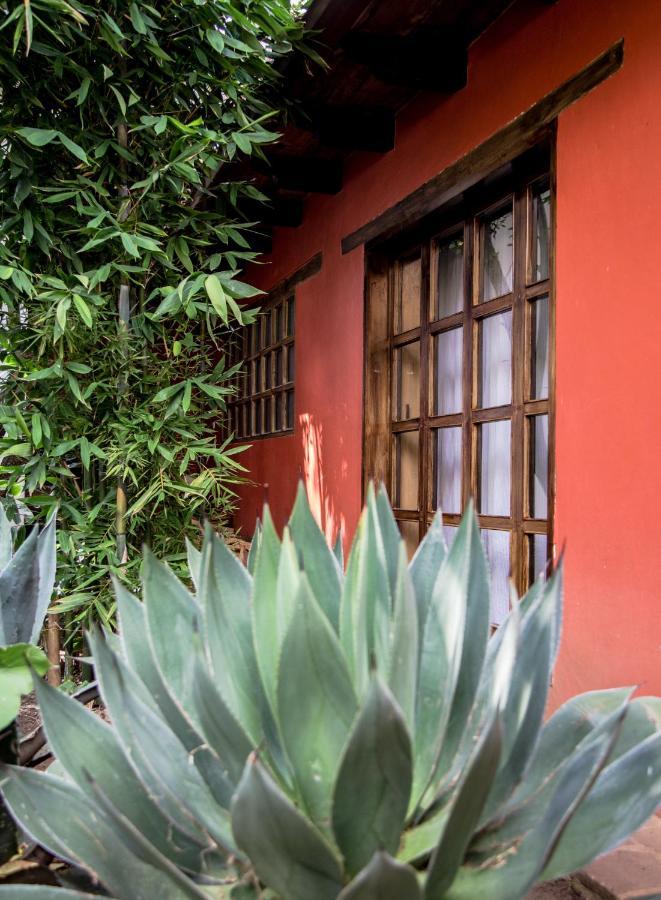 Guayaba Inn Boutique Hotel ซานกริสโตบัล เด ลาสกาซาส ภายนอก รูปภาพ