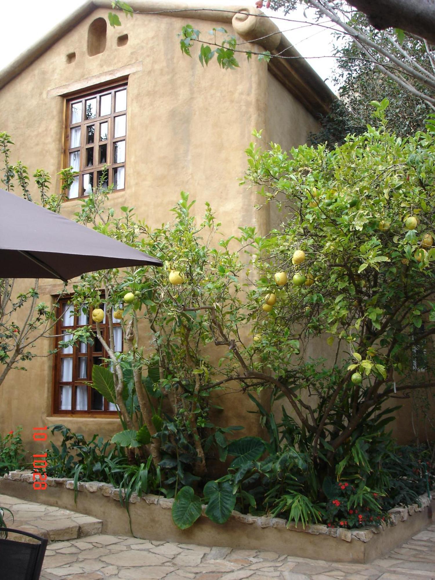 Guayaba Inn Boutique Hotel ซานกริสโตบัล เด ลาสกาซาส ภายนอก รูปภาพ