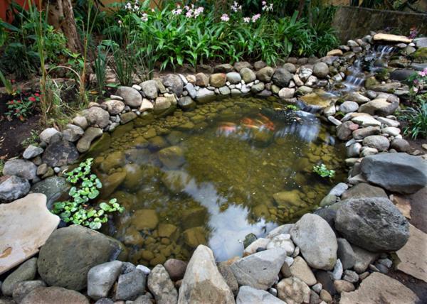 Guayaba Inn Boutique Hotel ซานกริสโตบัล เด ลาสกาซาส ภายนอก รูปภาพ